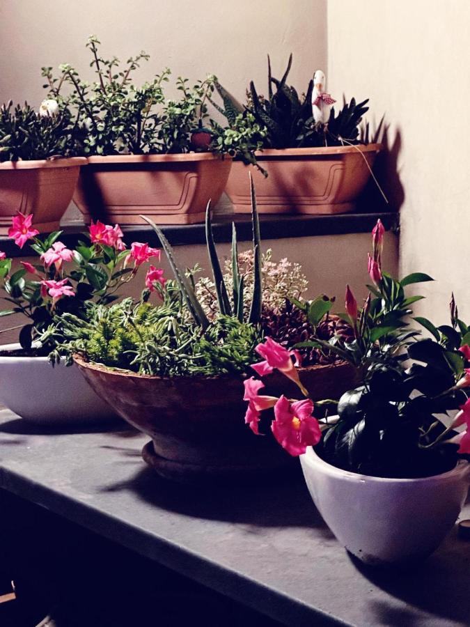 Borgo Antico B&B Фоджиа Экстерьер фото